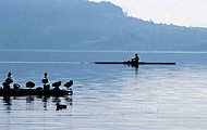 Foto Lago di Bolsena